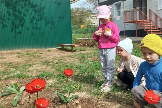 Наблюдение в природе