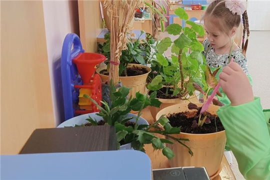 Ухаживает за комнатными растениями