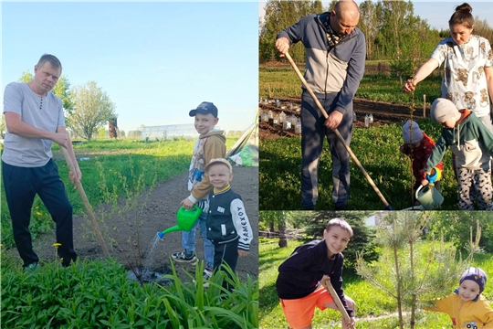 Акция "Посади дерево и сохрани его"