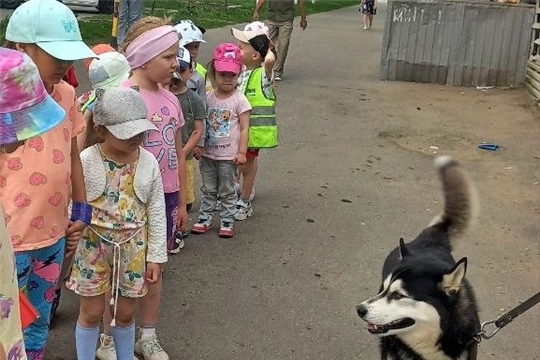 Осторожно! Злая собака!