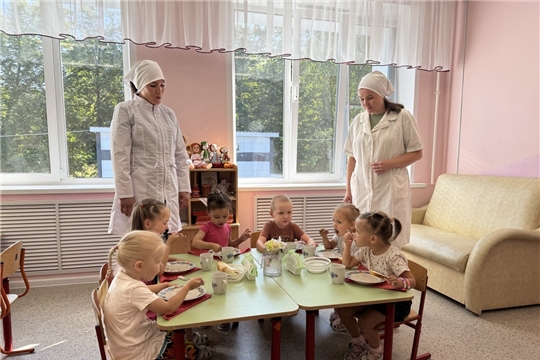 Родительский контроль за организацией питания