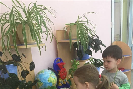 Уход за комнатными растениями