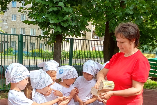 В поисках сокровищ