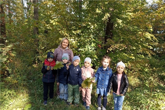 Прогулка в осеннем лесу