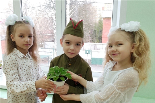 Социально-патриотическая акция "Цветок ветерану"