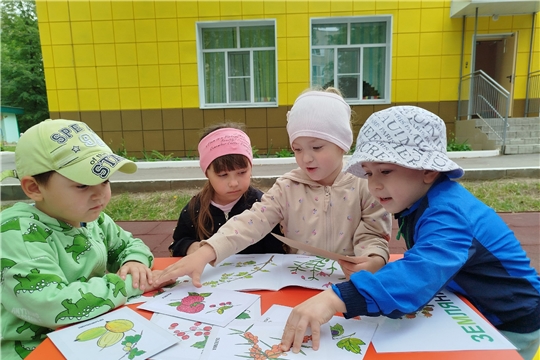 Ягоды - кладезь витаминов