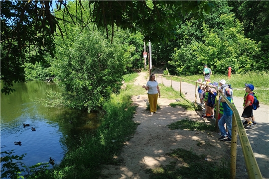 Уроки безопасности: безопасность на воде