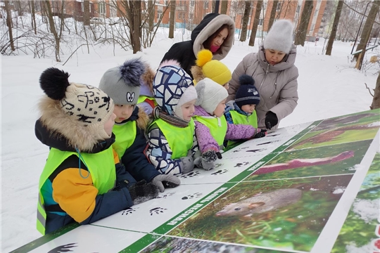 Экскурсия в Обиковский лес