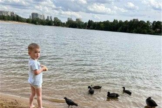 Безопасность на воде летом