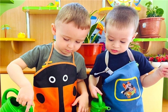 Посадка семян