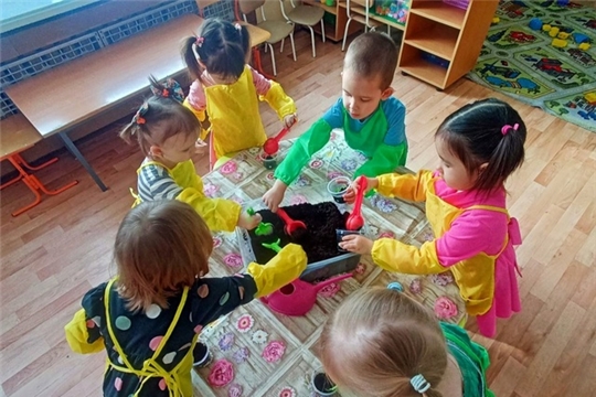 Огород на подоконнике