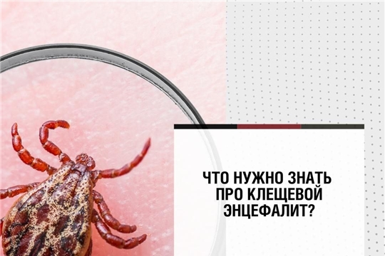 Безопасность в природе. Что нужно знать про клещевой энцефалит?