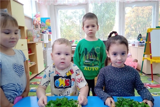 "Здоровые дети- счастливые родители"
