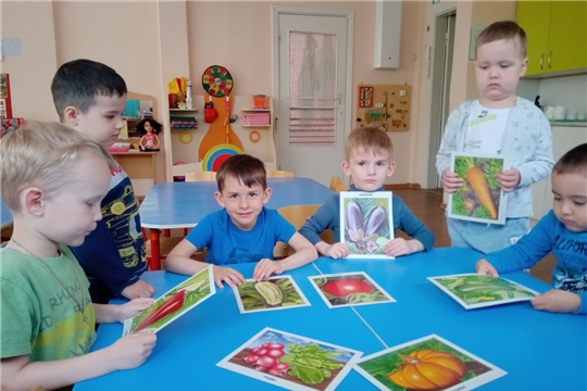 "Овощи в рационе питания"