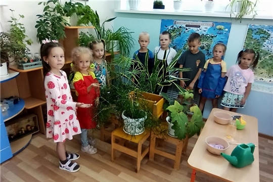 "Уход за растениями"