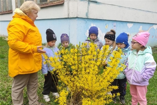 "Пасхальное дерево"