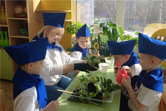 В детских садах проходит городская акция "Цветок ветерану"