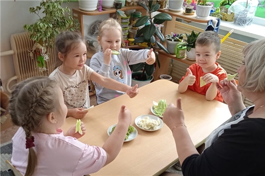 Капуста- полезный овощ