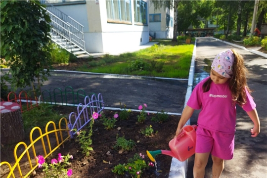 Поливаем, поливаем, от жары цветы спасаем