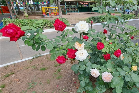 Подлинная красота