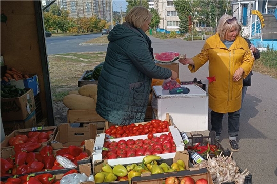 Знакомство с профессией продавца овощей и фруктов