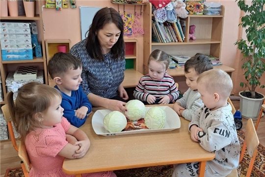Чем полезна капуста?