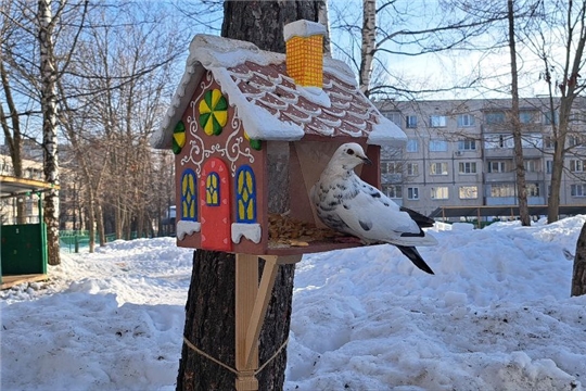 С заботой о пернатых друзьях