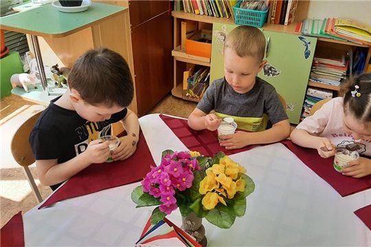 Йогурт - ценный кисломолочный продукт