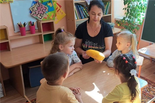 Золотистый кабачок