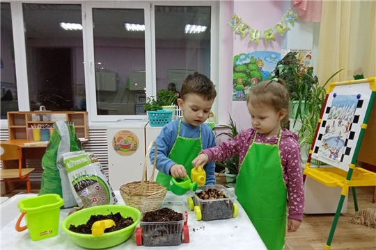 Зеленый лук от семи недуг