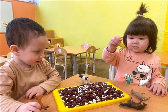 Игры с фасолью