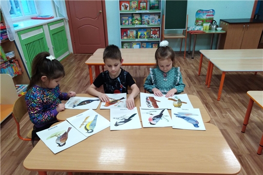 Кружок «Эколята». 