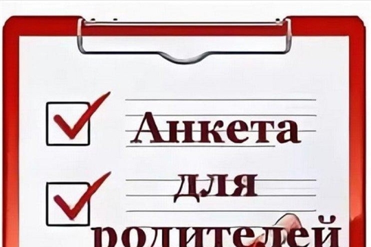 Анкетирование по дополнительным услугам.