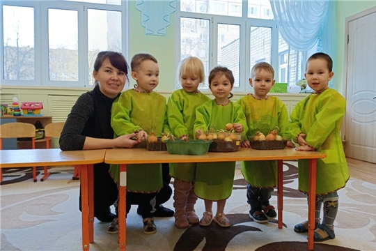 «Огород на подоконнике»