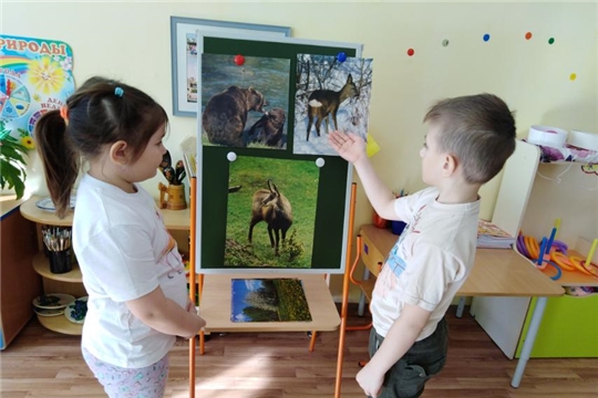 Кружок "Эколята"