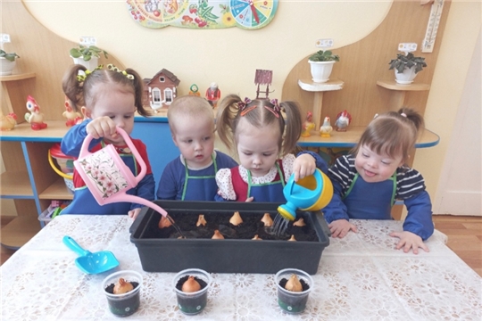 Наблюдение за луком