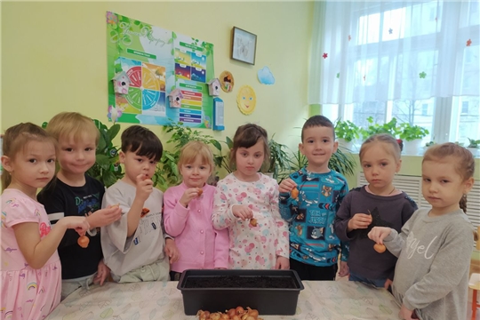 Наш огород