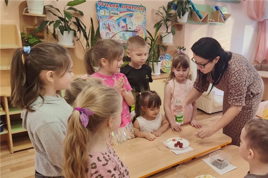 "В поисках науки"