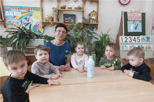 Из каждой почки- зеленые листочки!