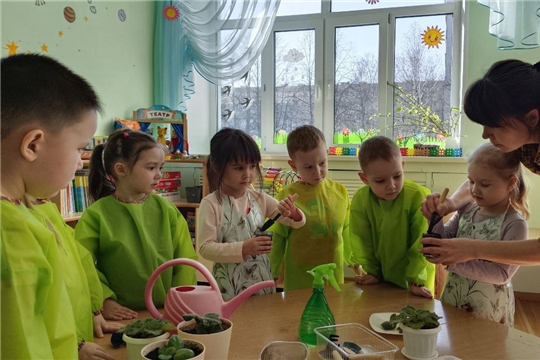 Социально-патриотическая акция «Цветок ветерану».