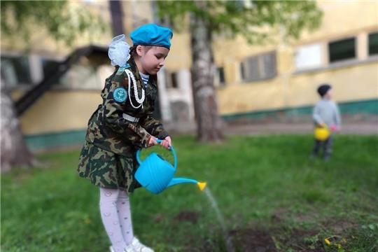 Аллея выпускников