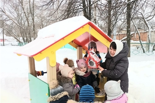 День кормления птиц