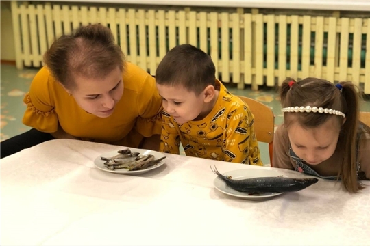Польза рыбных блюд