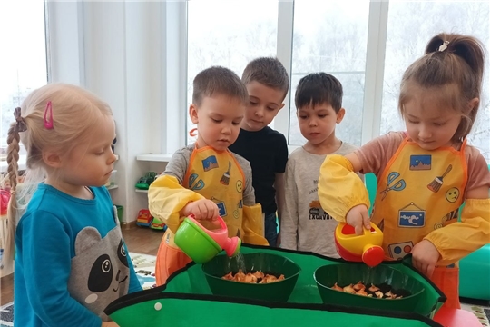 Посадка лука