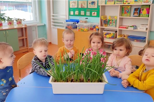 Малыши изучают полезные свойства зеленого лука
