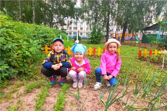 "Польза зелени"