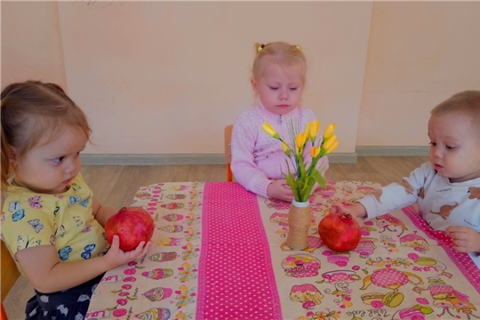 "Гранат -король фруктов"