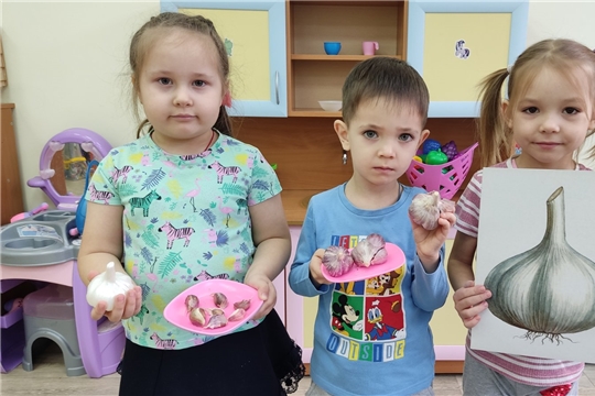 "Чеснок и его польза"
