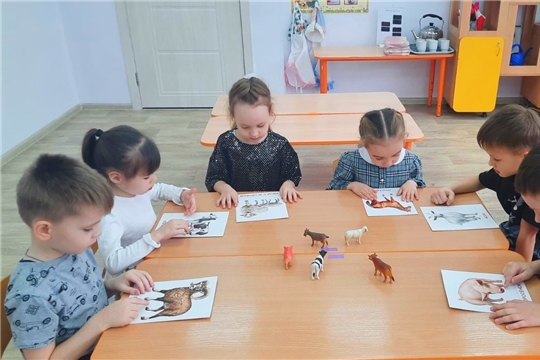 Познавательные уроки "Пополни ЭКОзнания" 