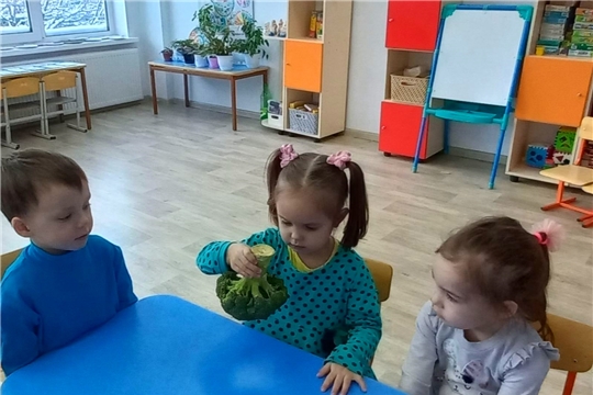 "Удивительная капуста Брокколи"